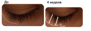 Оценка длины